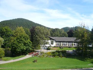 Apartamento de vacaciones en Willingen/Upland - Fewo am Kurpark**** (Sauerland)Casa de vacaciones
