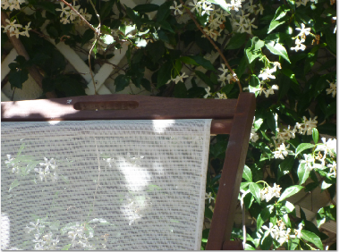 Casa de vacaciones en Calvi (Haute-Corse)Casa de vacaciones