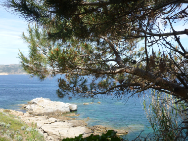 Casa de vacaciones en Calvi (Haute-Corse)Casa de vacaciones