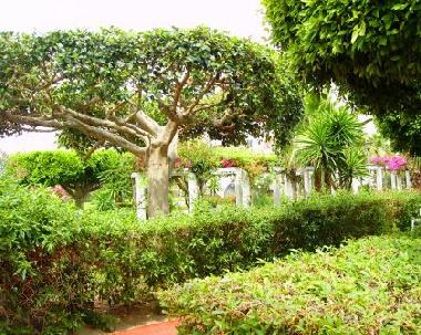 zonas verdes en Laguna Beach