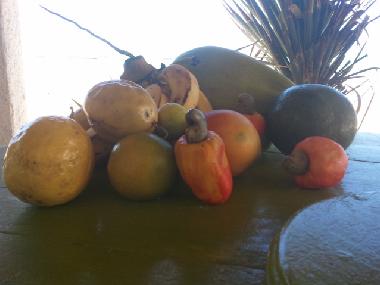 Casa de vacaciones en Icapui (Ceara)Casa de vacaciones