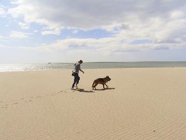 Casa de vacaciones en St. Pierre la Mer (Aude)Casa de vacaciones