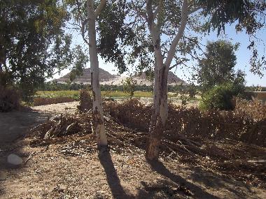 Villa en Siwa (Al Wadi al Jadid)Casa de vacaciones