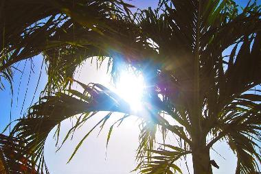 Apartamento de vacaciones en Willemstad (Curacao)Casa de vacaciones