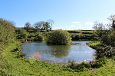 Casa de vacaciones en Tavistock (South West)Casa de vacaciones