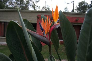 Casa de vacaciones en Piriapolis (Maldonado)Casa de vacaciones