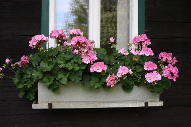 Casa de vacaciones en Schwanberg (West- und S�dsteiermark)Casa de vacaciones