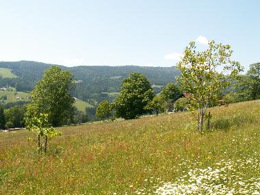 Casa de vacaciones en Schwanberg (West- und S�dsteiermark)Casa de vacaciones