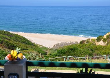 Vista desde la terraza