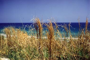 Casa de vacaciones en Menfi (Agrigento)Casa de vacaciones