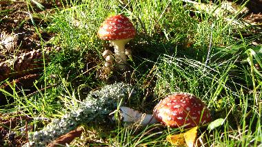 Casa de vacaciones en Gieubel (Thringer Wald)Casa de vacaciones