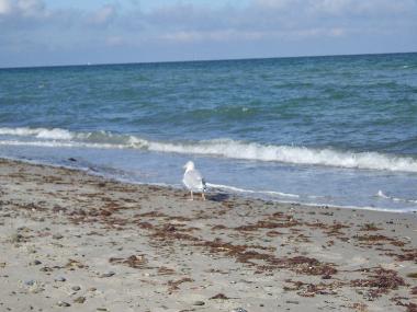 Apartamento de vacaciones en Dierhagen (Fischland-Dar-Zingst)Casa de vacaciones