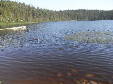 Chalet en Girardville (Quebec)Casa de vacaciones
