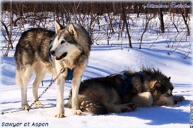 Chalet en Girardville (Quebec)Casa de vacaciones