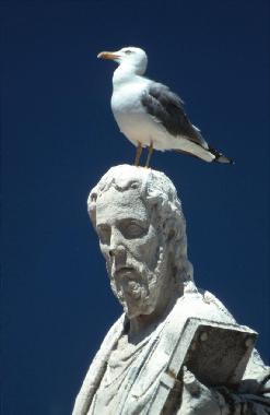 Apartamento de vacaciones en �ibenik (Sibensko-Kninska)Casa de vacaciones