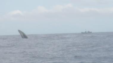 Apartamento de vacaciones en David (Chiriqui)Casa de vacaciones