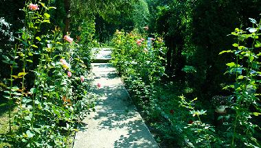 Villa en Sovata (Mures)Casa de vacaciones