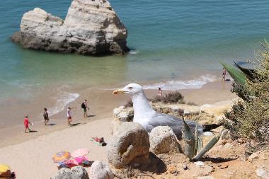 Apartamento de vacaciones en Portim�o (Algarve)Casa de vacaciones