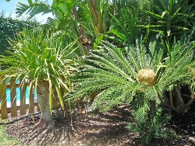 Villa en Conil (Cdiz)Casa de vacaciones