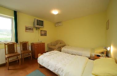 Villa en Sremski Karlovci (Vojvodina)Casa de vacaciones