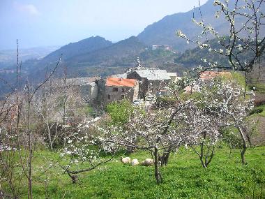 Apartamento de vacaciones en San Giovanni di Moriani (Haute-Corse)Casa de vacaciones