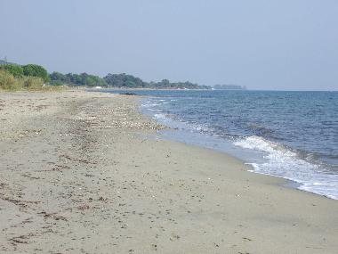 Apartamento de vacaciones en San Giovanni di Moriani (Haute-Corse)Casa de vacaciones