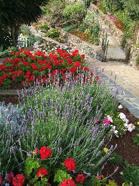 Apartamento de vacaciones en Puerto de la Cruz (Teneriffa)Casa de vacaciones