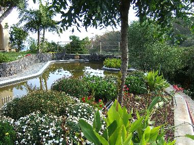 Apartamento de vacaciones en Puerto de la Cruz (Teneriffa)Casa de vacaciones