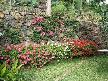 Apartamento de vacaciones en Puerto de la Cruz (Teneriffa)Casa de vacaciones