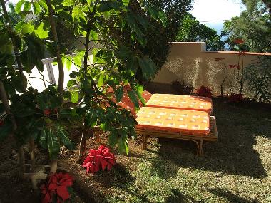 Apartamento de vacaciones en Puerto de la Cruz (Teneriffa)Casa de vacaciones