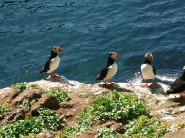 Apartamento de vacaciones en Saudarkrokur (Skagafjardarsysla)Casa de vacaciones