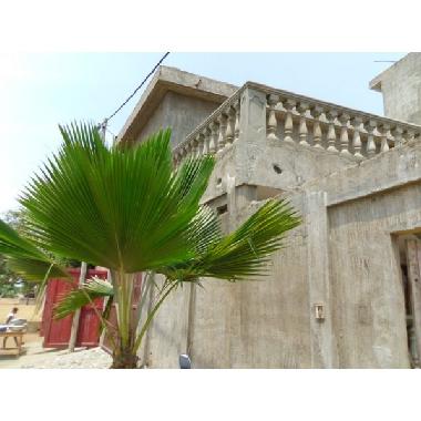 Casa de vacaciones en lom� (Lome)Casa de vacaciones