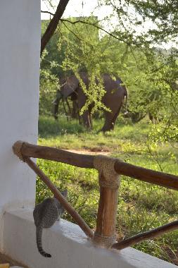 Cama y desayuno en  Voi, Tsavo (Coast)Casa de vacaciones