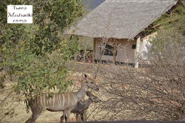 Cama y desayuno en  Voi, Tsavo (Coast)Casa de vacaciones