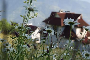 Casa de vacaciones en Rakhiv (Zakarpats'ka Oblast')Casa de vacaciones
