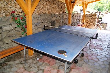 Casa de vacaciones en Rakhiv (Zakarpats