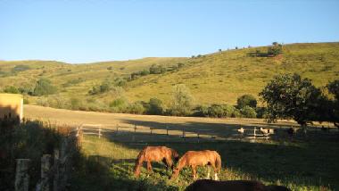 Casa de vacaciones en Quintodecimo  (Ascoli Piceno)Casa de vacaciones