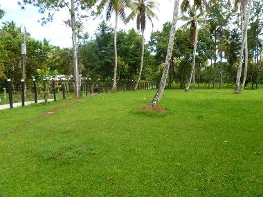 Cama y desayuno en Snchez  (Samana)Casa de vacaciones