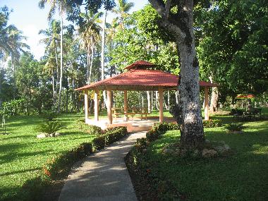 Cama y desayuno en Snchez  (Samana)Casa de vacaciones