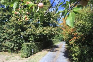 Apartamento de vacaciones en Near Lautrec (Tarn)Casa de vacaciones