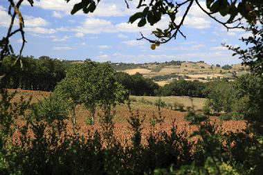 Apartamento de vacaciones en Near Lautrec (Tarn)Casa de vacaciones