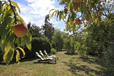 Apartamento de vacaciones en Near Lautrec (Tarn)Casa de vacaciones