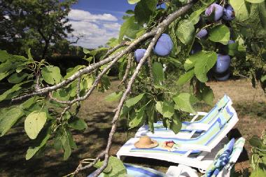 Apartamento de vacaciones en Near Lautrec (Tarn)Casa de vacaciones