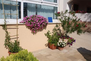 Apartamento de vacaciones en Mandre (Zadarska)Casa de vacaciones