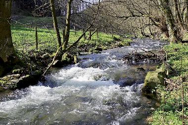 Apartamento de vacaciones en Willingen/Upland - Komfort-Fewo im Stryck**** (Sauerland)Casa de vacaciones