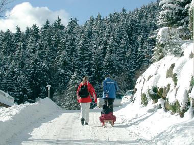 Apartamento de vacaciones en Willingen/Upland - Komfort-Fewo im Stryck**** (Sauerland)Casa de vacaciones