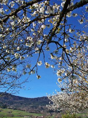 Casa de vacaciones en Puivert (Aude)Casa de vacaciones