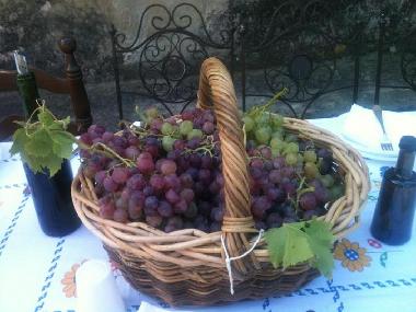 Apartamento de vacaciones en Lucca (Lucca)Casa de vacaciones