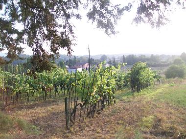 Apartamento de vacaciones en Lucca (Lucca)Casa de vacaciones