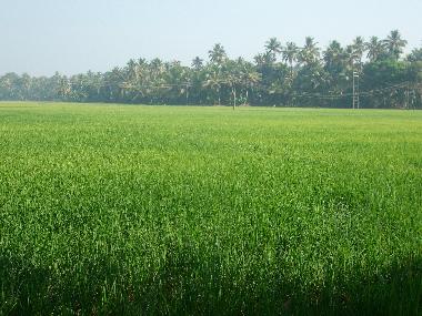 Casa de vacaciones en Kottayam (Kerala)Casa de vacaciones